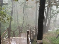 -沂蒙山旅游区云蒙景区(蒙山国家森林公园)
