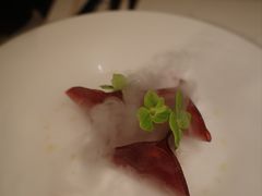 -觀芷隐轩