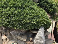 -海东龙宫寺