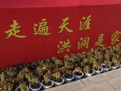 -大槐树寻根祭祖园