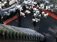 -成都武侯祠博物馆