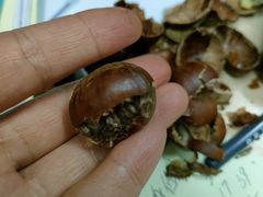 糖炒栗子-秋栗香(地安门店)