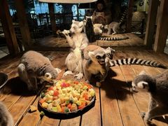 -绿色星球动物主题公园