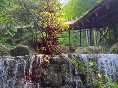 -山沟沟景区