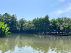 -西溪国家湿地公园