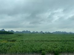 -明仕田园