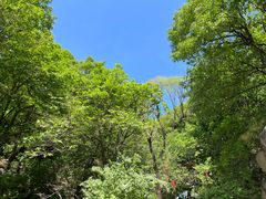 -天津盘山风景名胜区