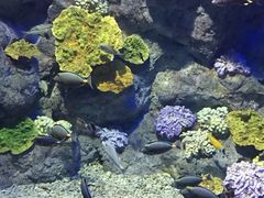 -福州罗源湾海洋世界旅游区