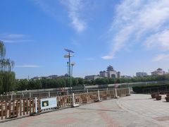 -莲花池公园