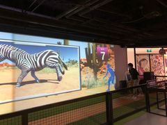 -VS SPORTS PARK运动玩乐园·团建·生日会(合生汇店)