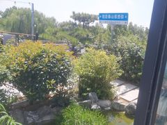 -蘇河湾·新鲁菜·泰山宴(泰山店)