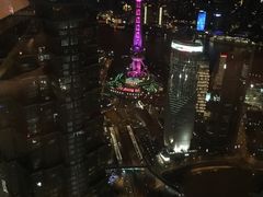 -上海柏悦酒店