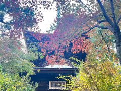 -常寂光寺