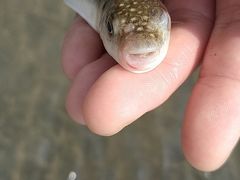 -台山黑沙湾海浴场
