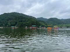 -黔灵山公园