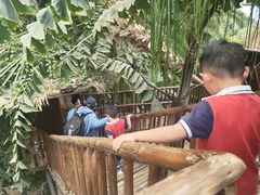 -呀路古热带植物园