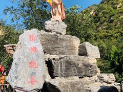 景区门口-大岭沟猕猴桃谷风景区