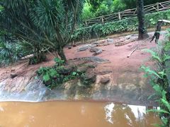 -海南热带野生动植物园