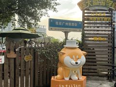 -柴犬高等学院·狗咖·柴犬售卖·宠物训练