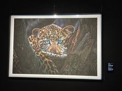 -罗红摄影艺术馆