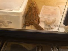 -华声天桥民俗文化园