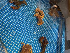 -绿杨春·淮扬宴(庐山路店)