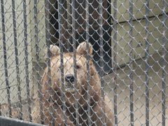 -荆州中山公园动物园