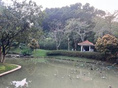 -火炉山森林公园