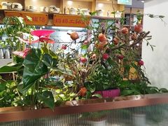 -洞庭家宴·头牌甲鱼(广渠门店)
