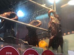 -一乐烧鹅(中环店)