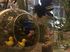 -卓花境Flowerwonderland花店