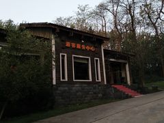 -象山森林公园