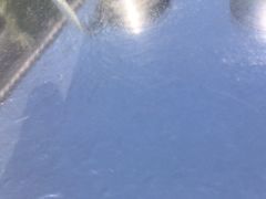-都江堰石锅鱼