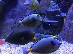 -成都浩海立方海洋公园