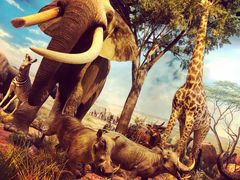 -陕西自然博物馆