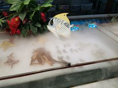 -金米客烤肉自助(中山路茂业时代城店)