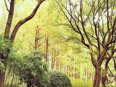 -黄兴公园