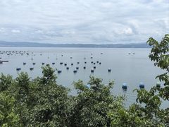 -抚仙湖禄充风景区