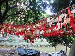 -小洲村