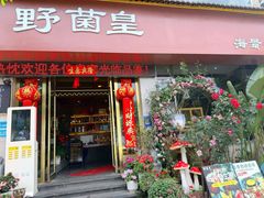 -野菌皇海景野生菌火锅(滨海大道店)