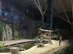-夜间野生动物园