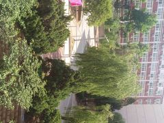 -山东大学(软件园校区)