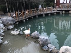 -天毓山庄·餐厅
