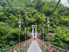 -西双版纳原始森林公园