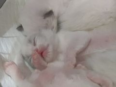 -iF摄影•全家福•证件照•形象照(南山店)