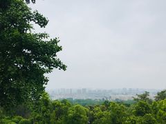 -南京市江宁方山