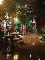 -奇幻丛林(佛罗伦萨小镇店)