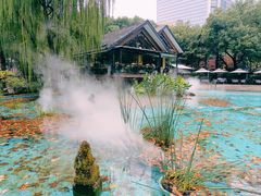 -静安公园(静安寺街道)