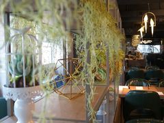 -Oasis Bar & Grill