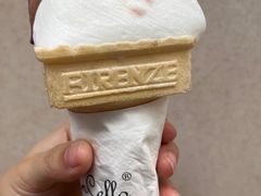 -柠檬车露(卖草地店)